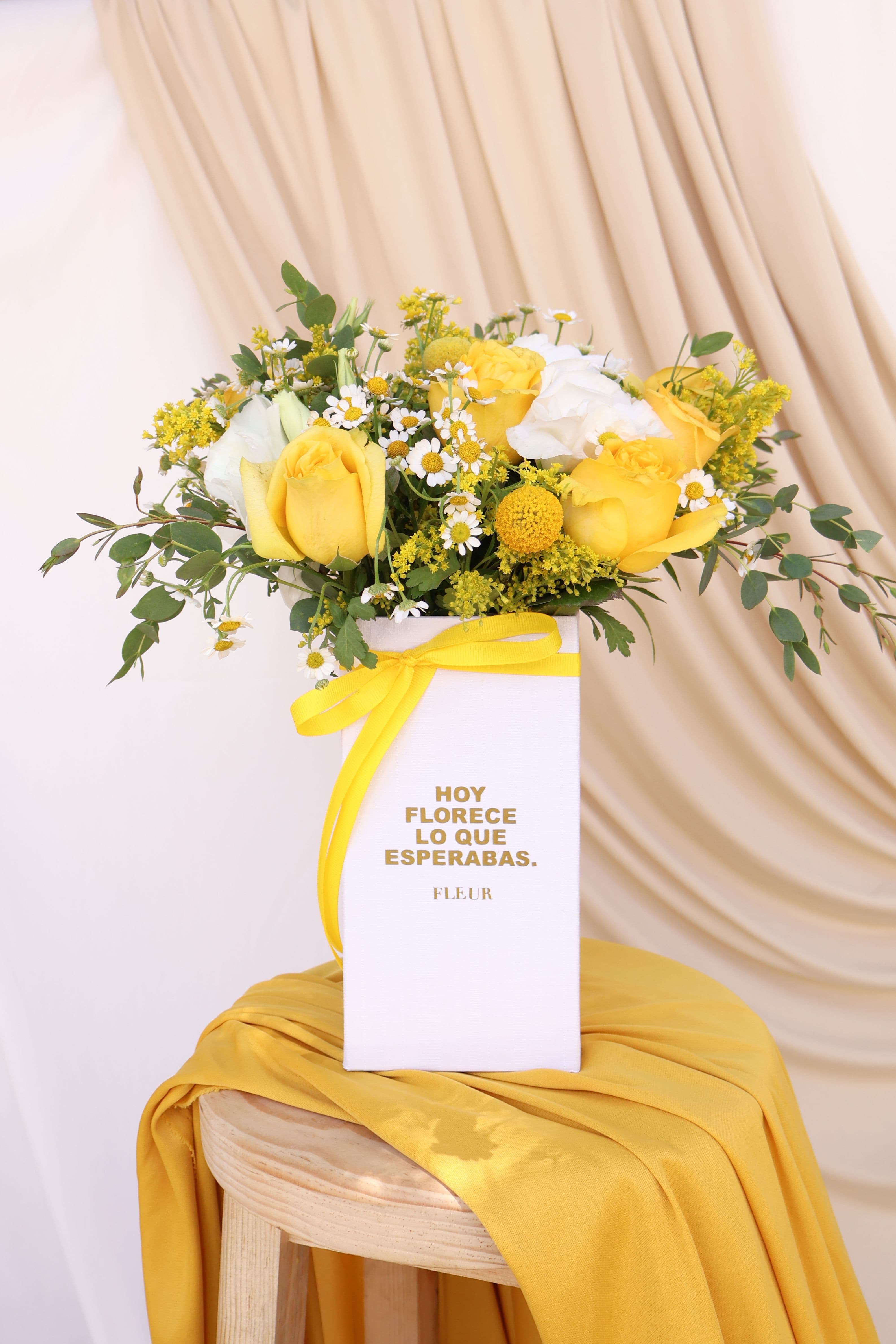 Imagen del producto: Alexandra