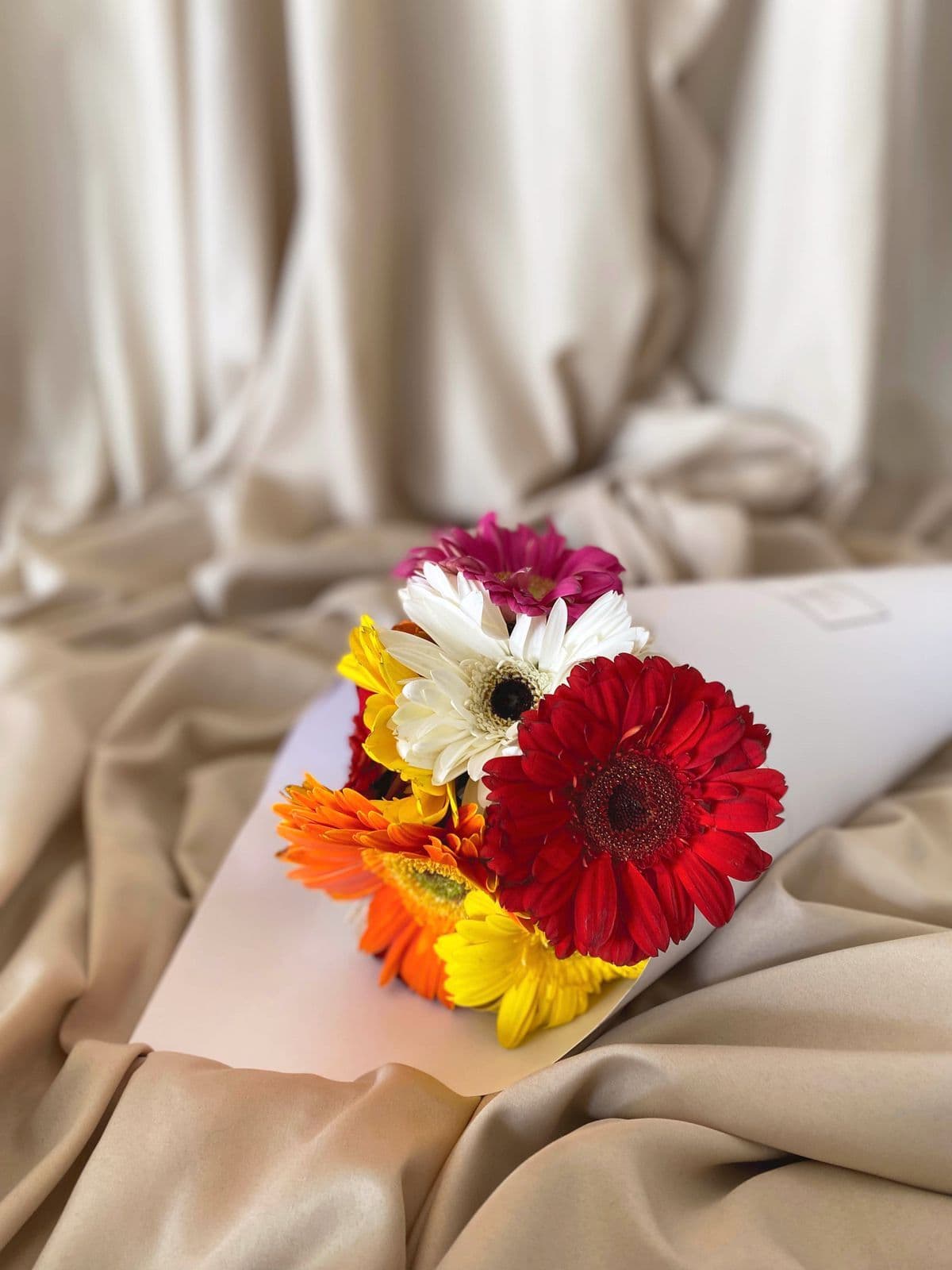 Imagen del producto: Lucy VII