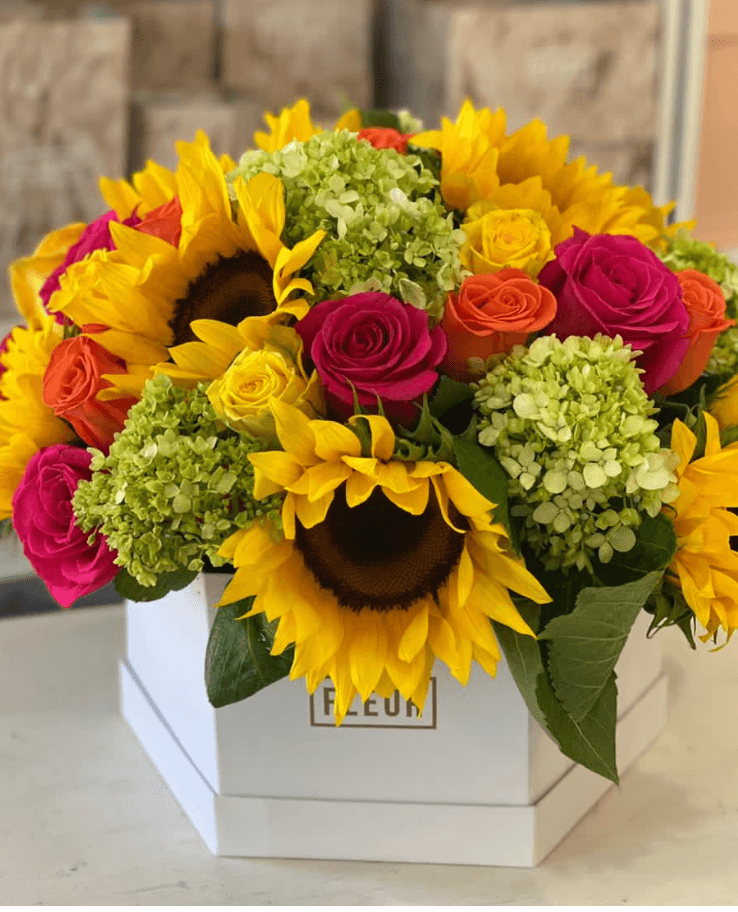 Imagen del producto: Antonieta VII