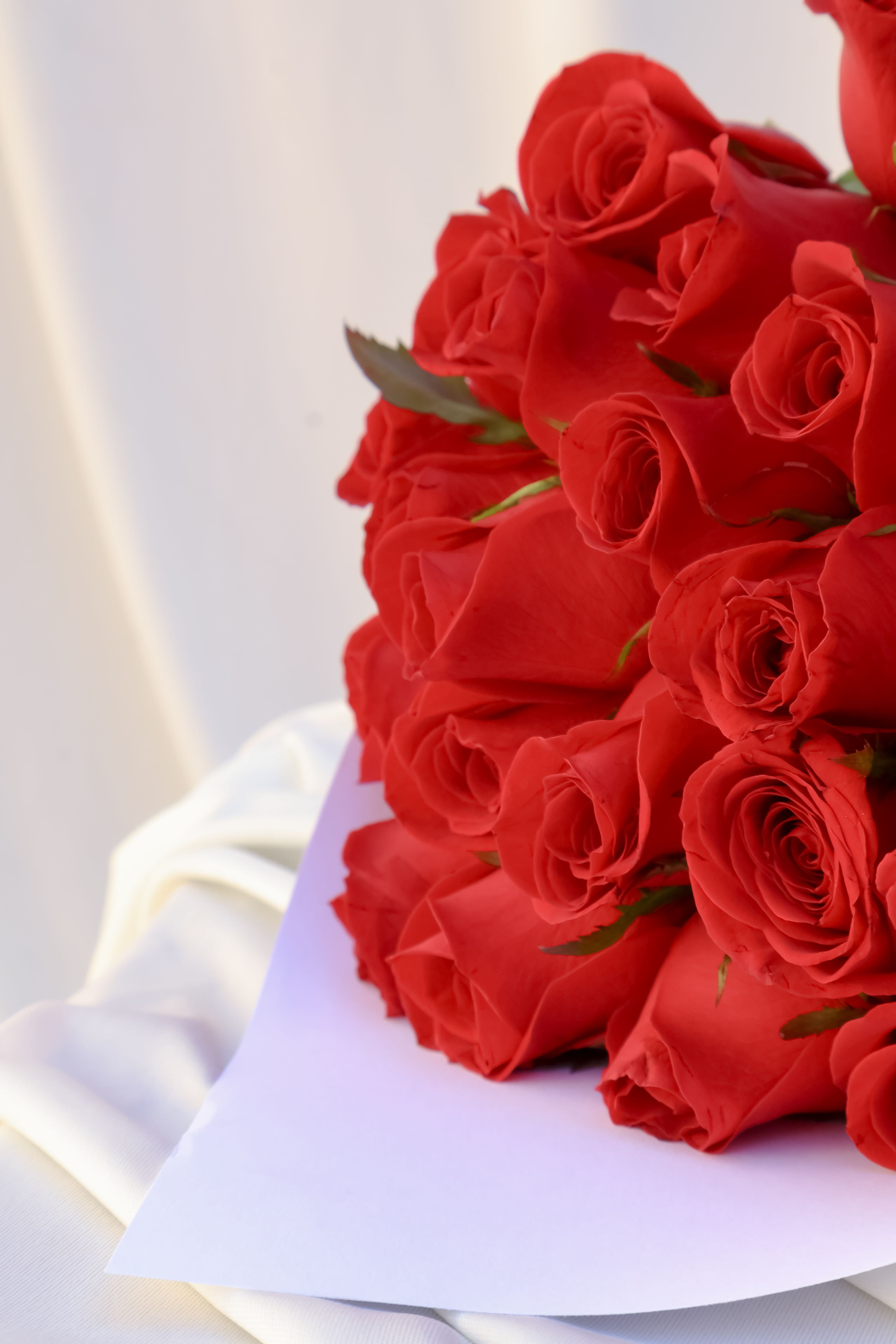 Imagen del producto: Julieta 24 pz