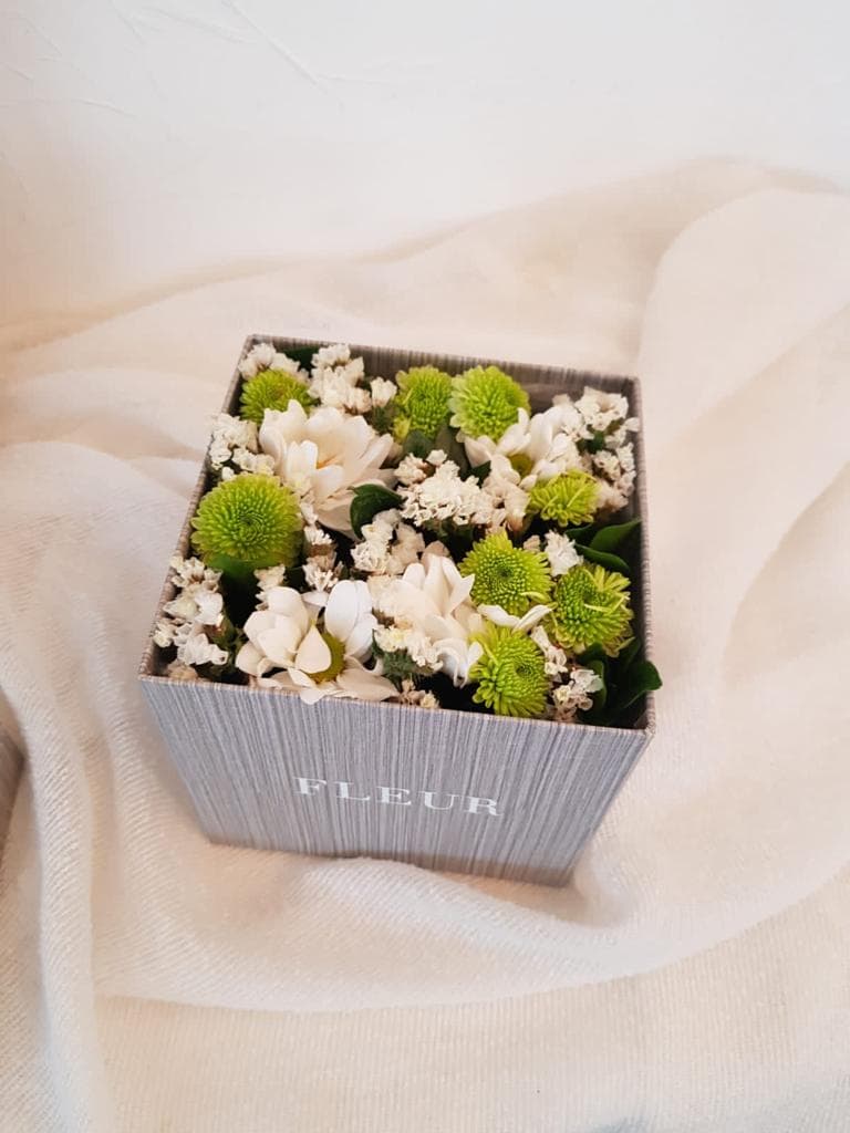 Imagen del producto: Emma V