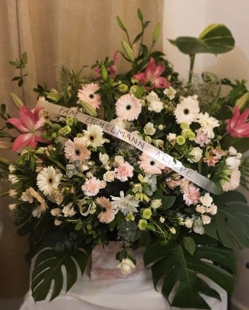 Imagen del producto: Begoña VIII