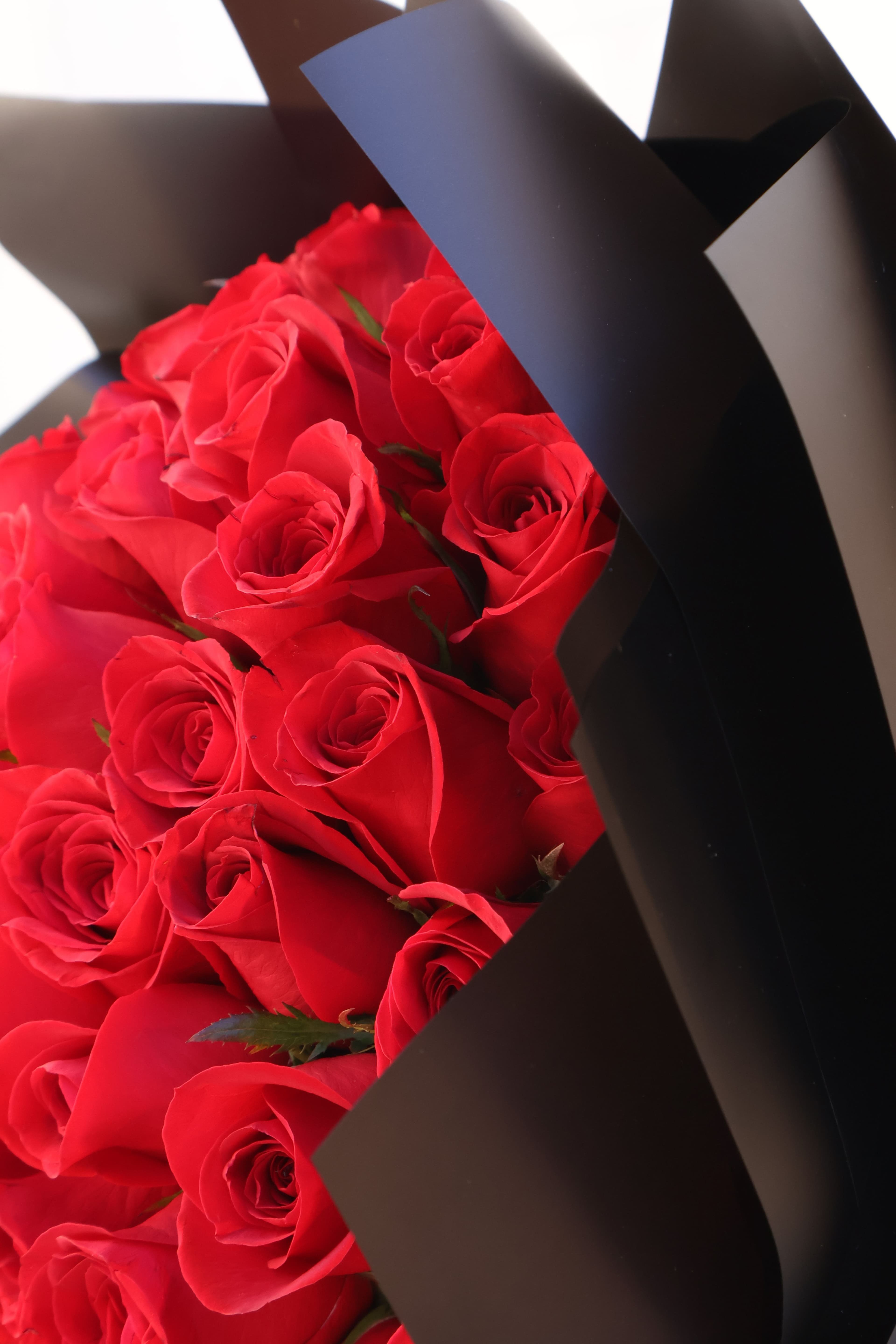 Imagen del producto: Elizabeth 100 pz