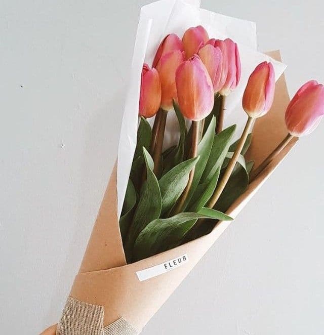 Imagen del producto: Florencia IV