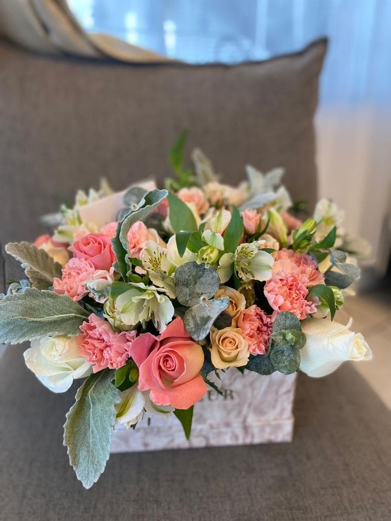 Imagen del producto: Carlota VI