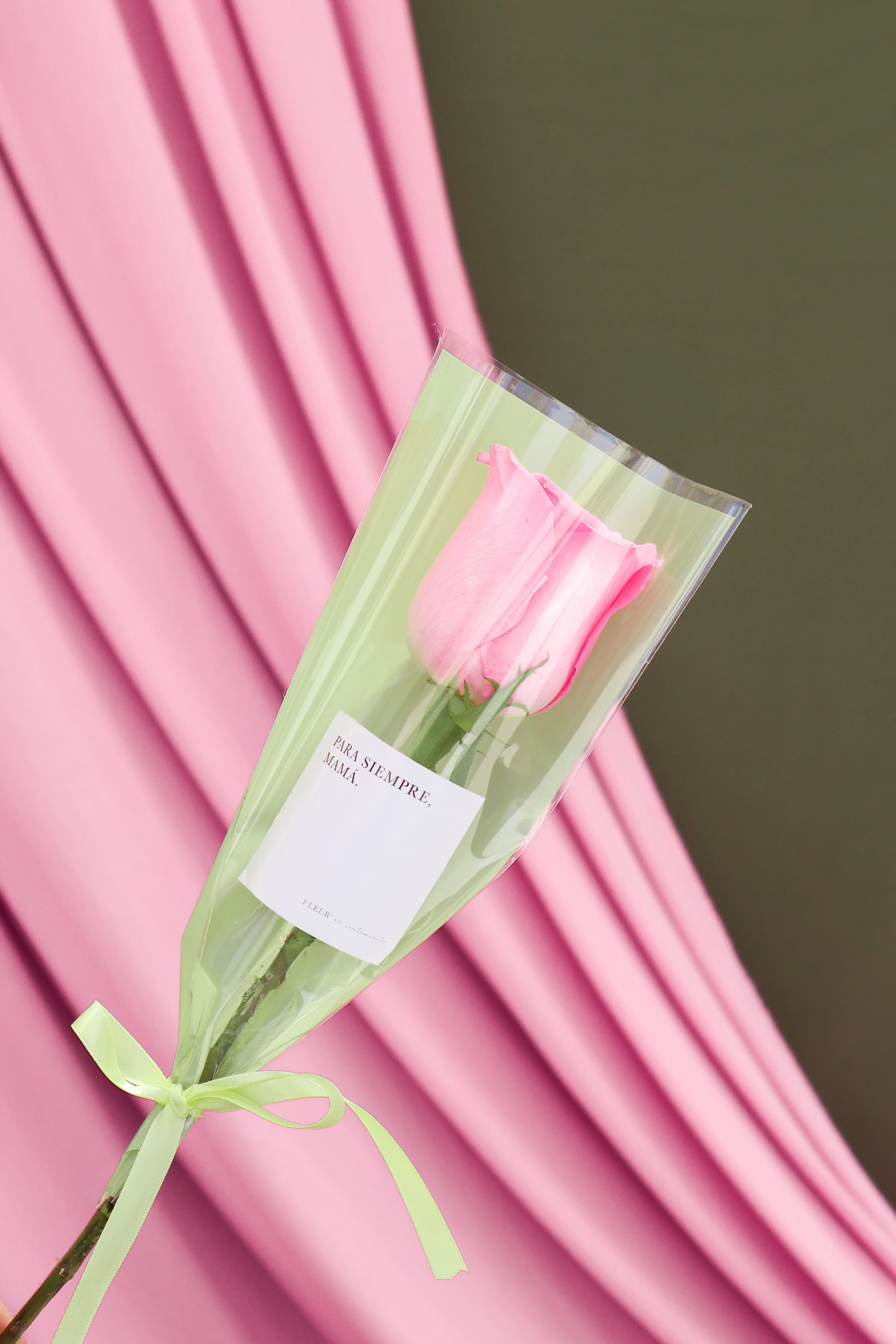 Imagen del producto: Ada