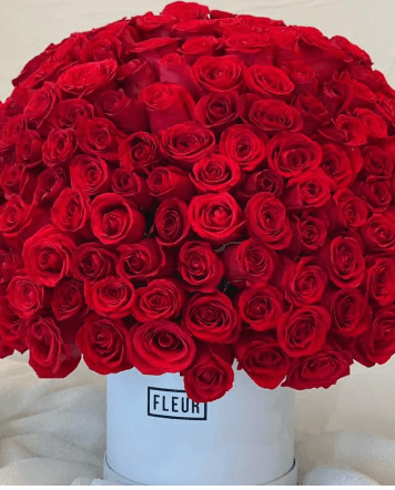 Imagen del producto: Julia VIII