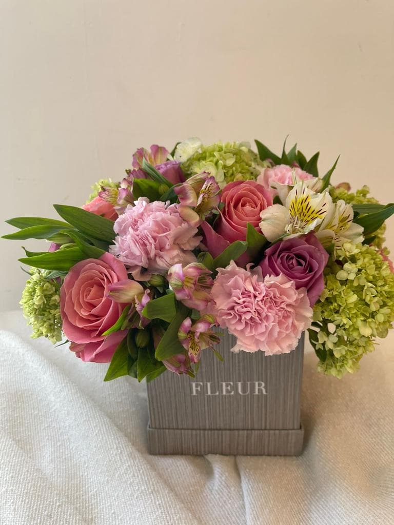 Imagen del producto: Emma VI