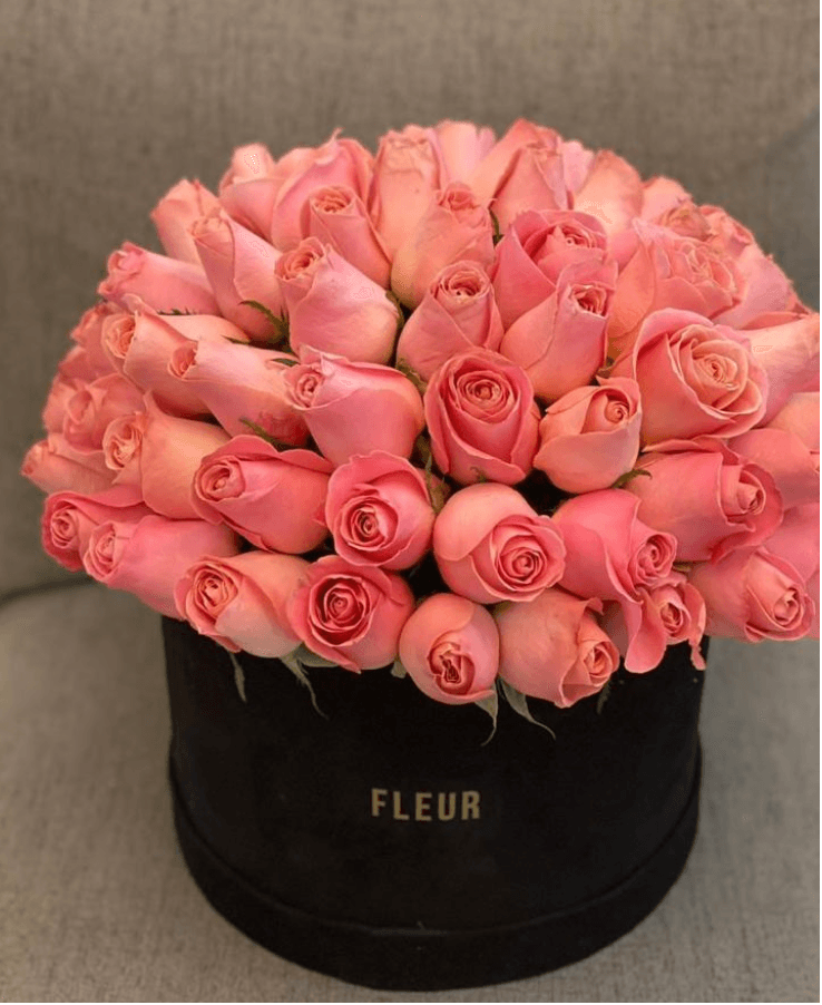 Imagen del producto: Luna V