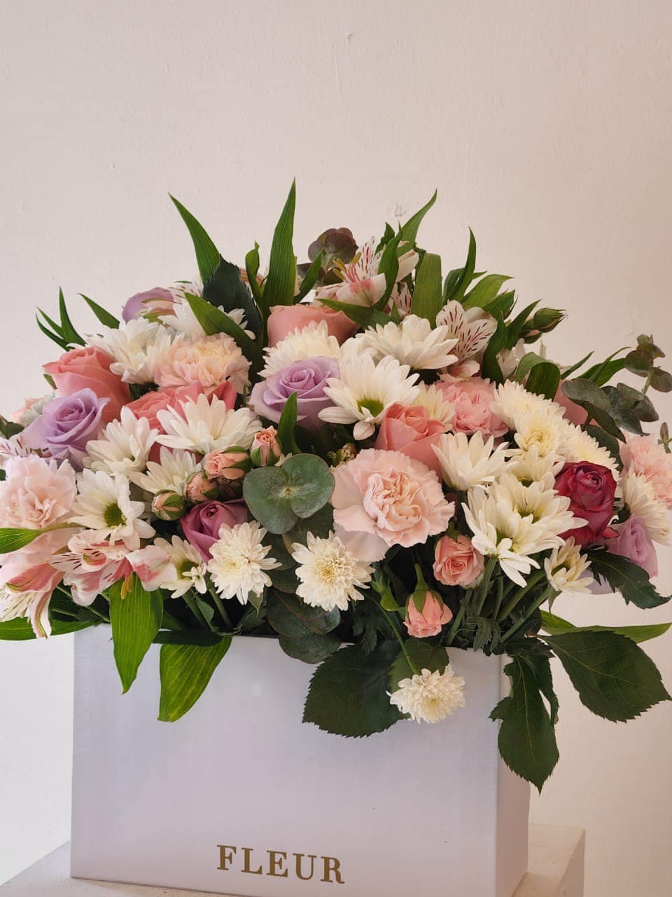 Imagen del producto: Carolina IV