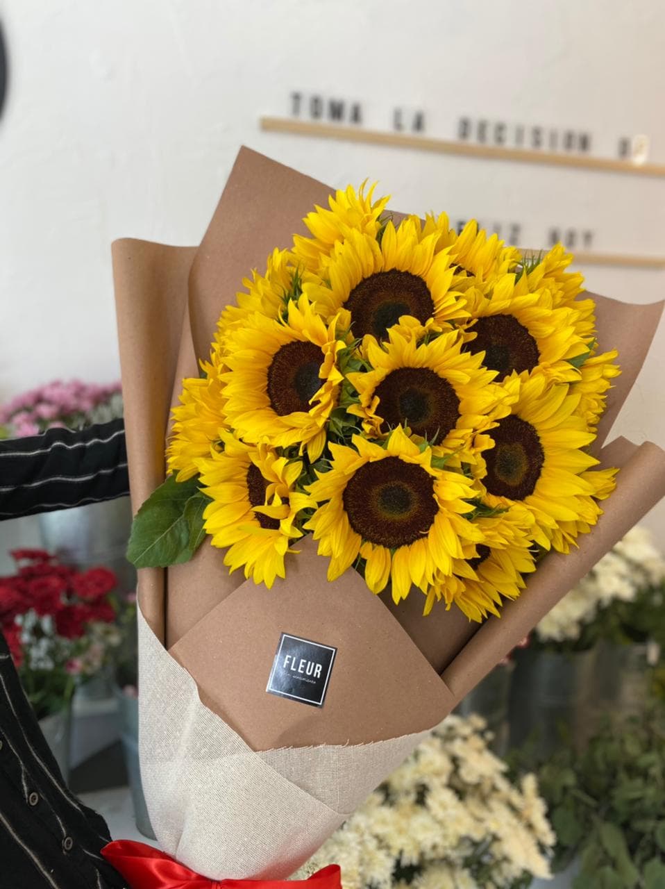 Imagen del producto: Molly V