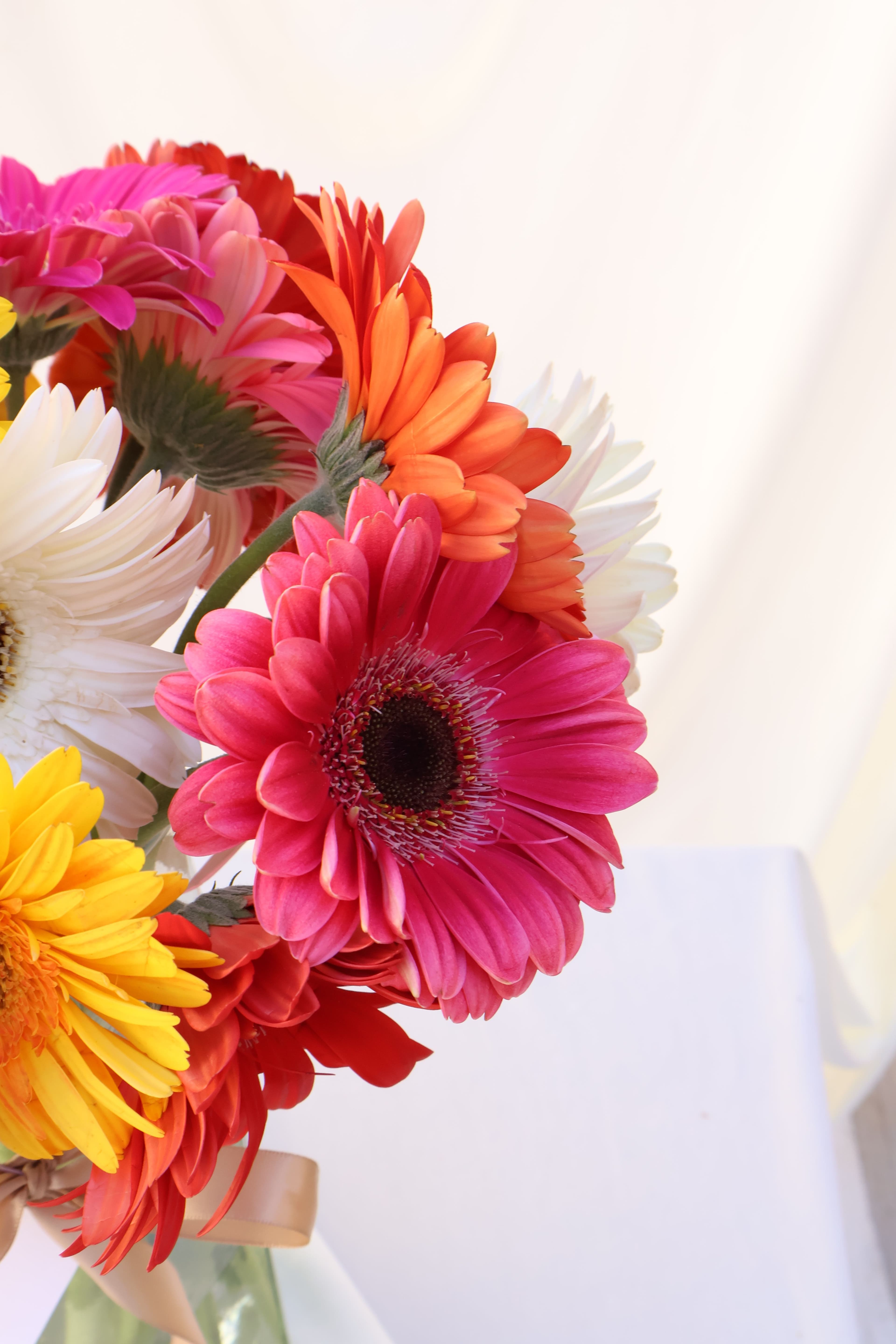 Imagen del producto: Leah