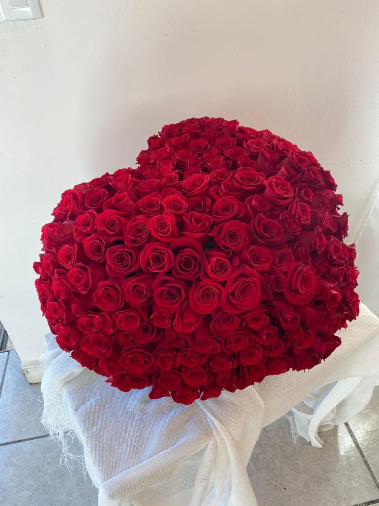 Imagen del producto: Elisa V