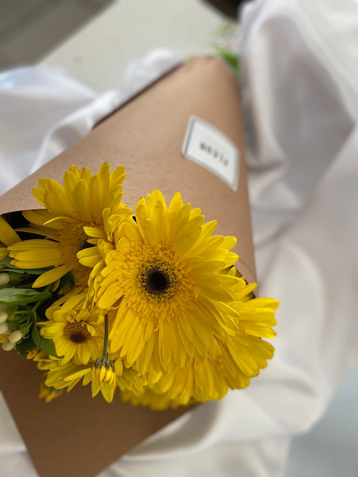 Imagen del producto: Gaby