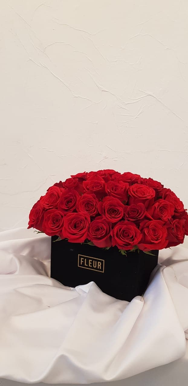 Imagen del producto: Carlota II