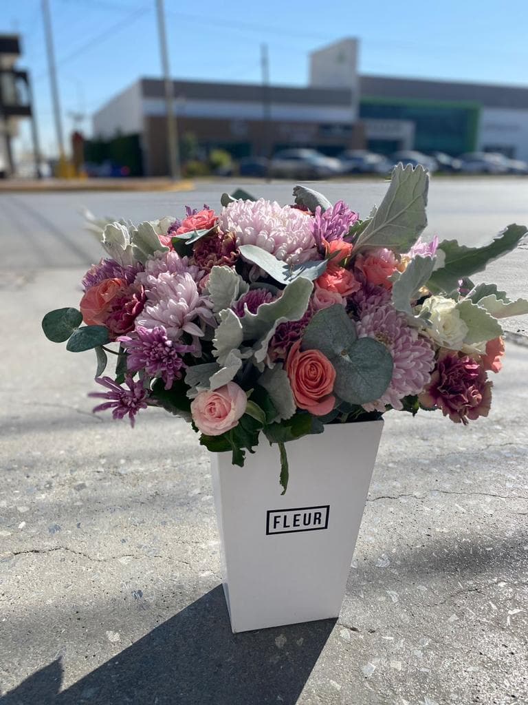 Imagen del producto: Alba II