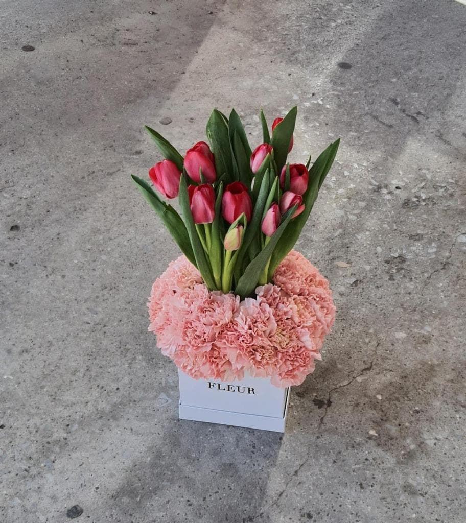 Imagen del producto: Emma VIII