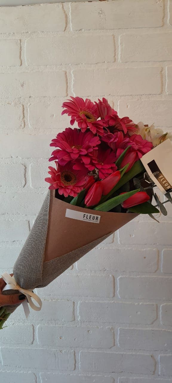 Imagen del producto: Gala II