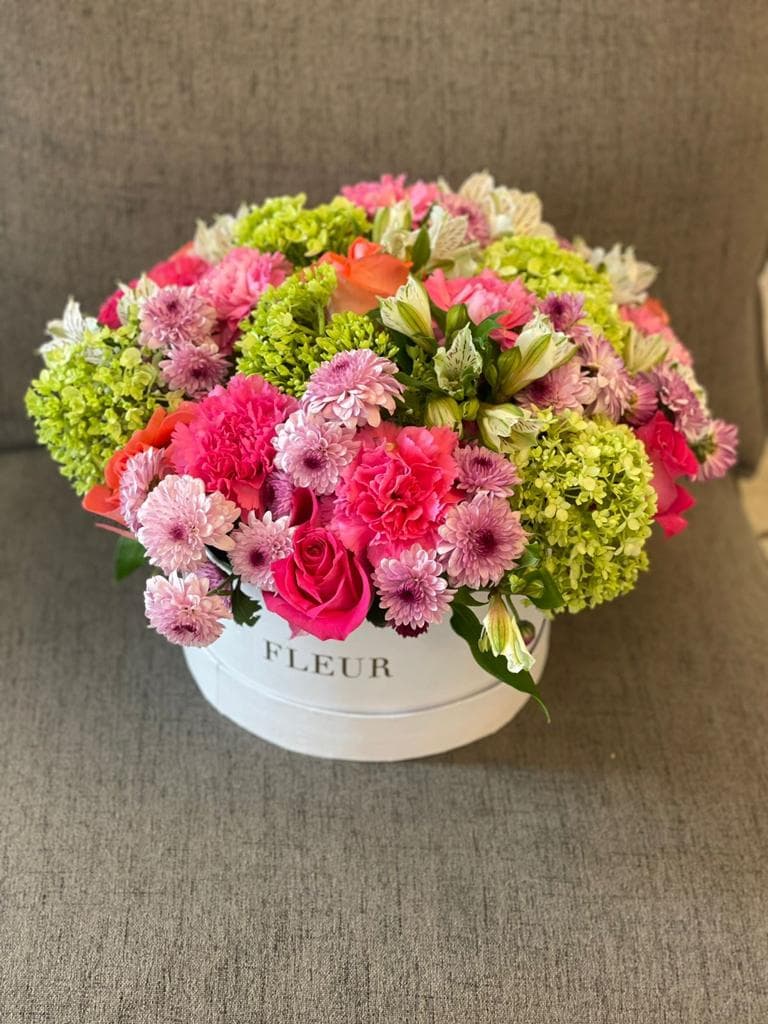 Imagen del producto: Aria III