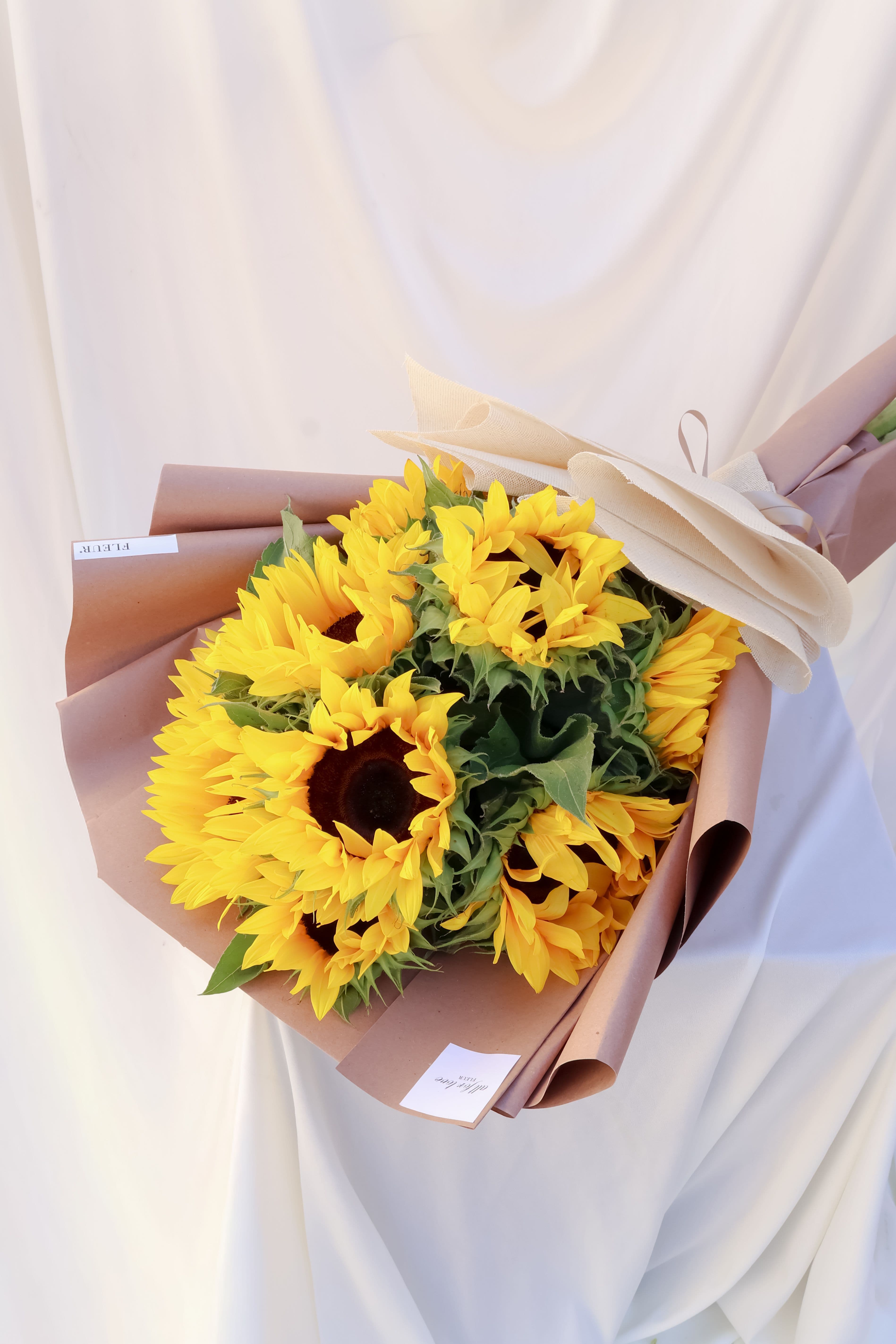 Imagen del producto: Molly