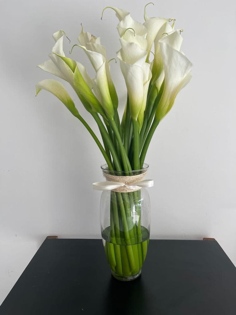 Imagen del producto: Zoe