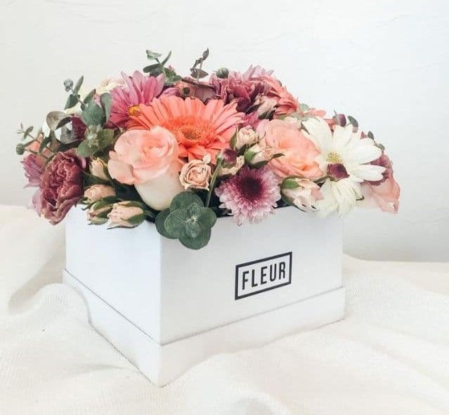 Imagen del producto: Carlota IV