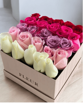 Imagen del producto: Carlota V