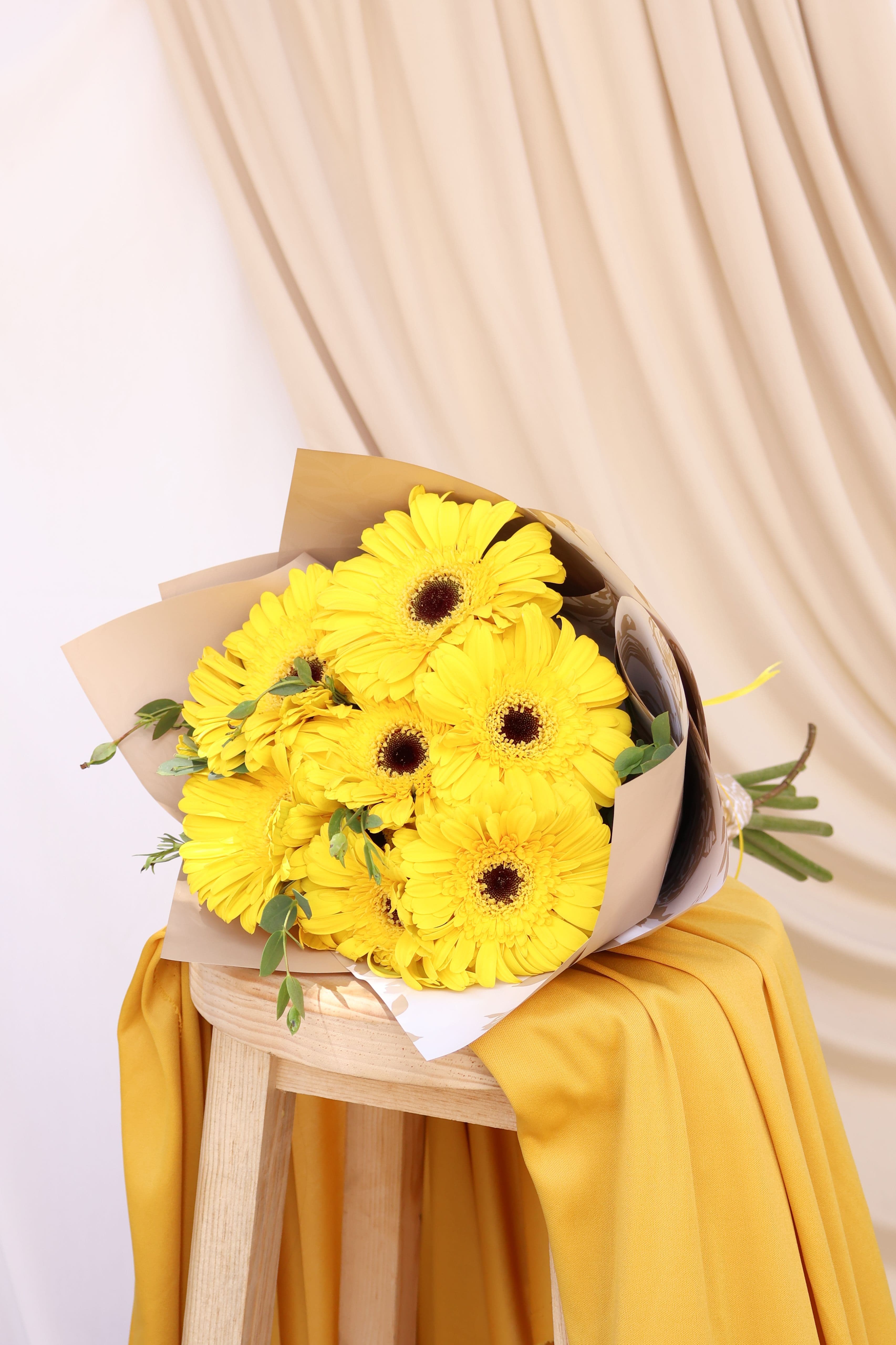 Imagen del producto: Lucy