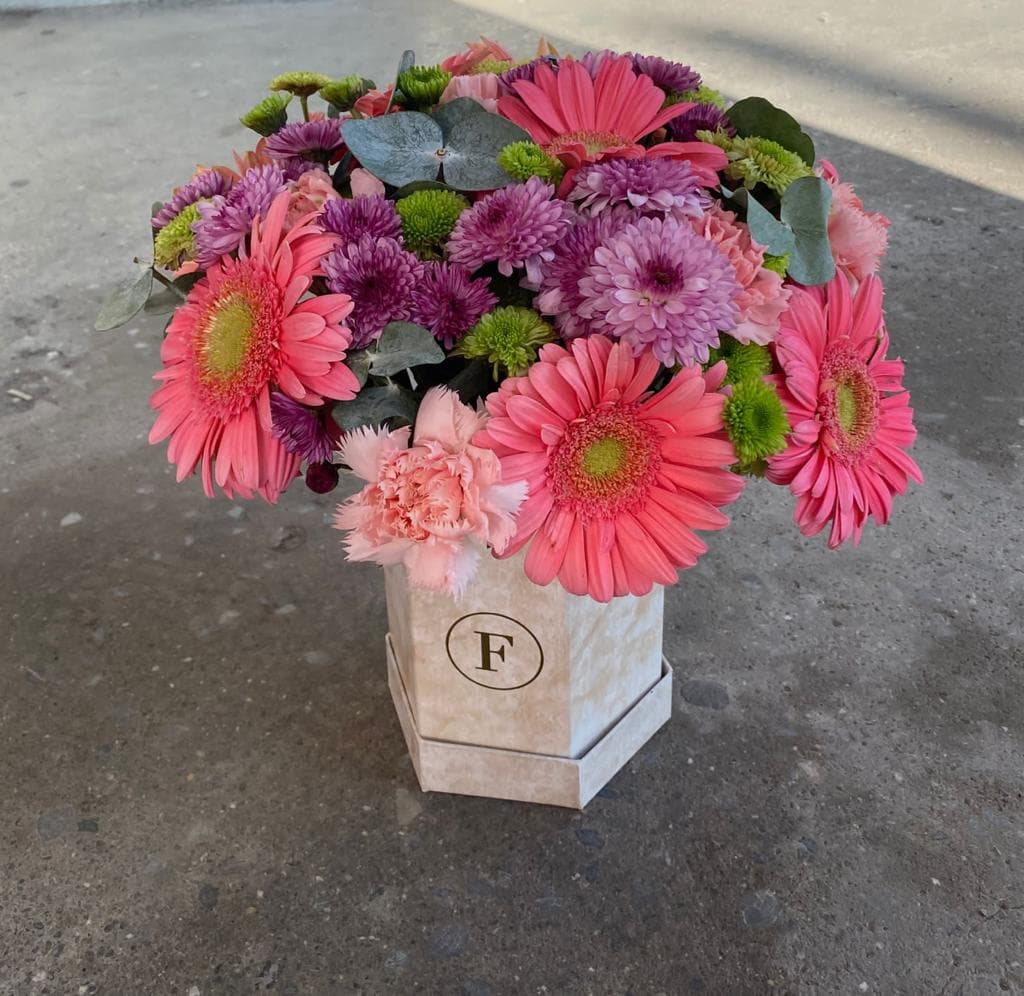 Imagen del producto: Victoria VIII