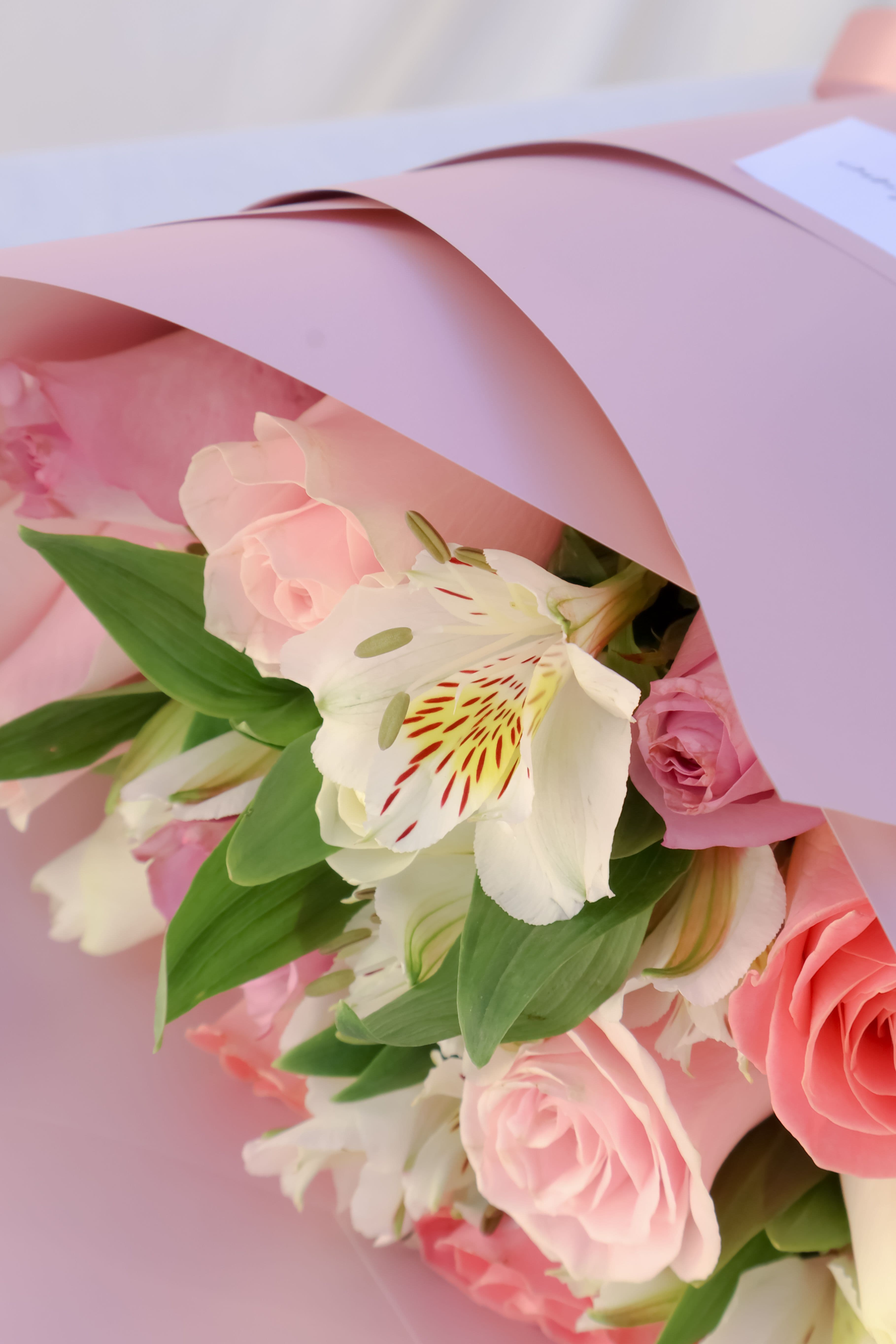 Imagen del producto: Rosa 12 pz