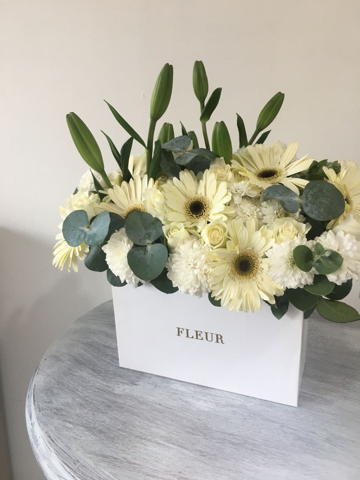 Imagen del producto: Carolina VI