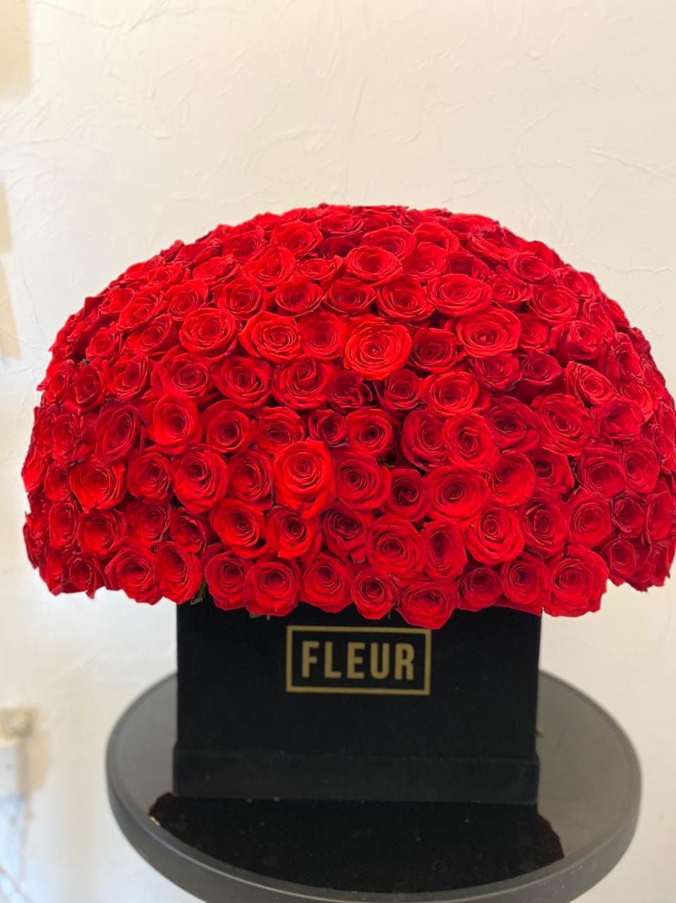 Imagen del producto: Begoña VI