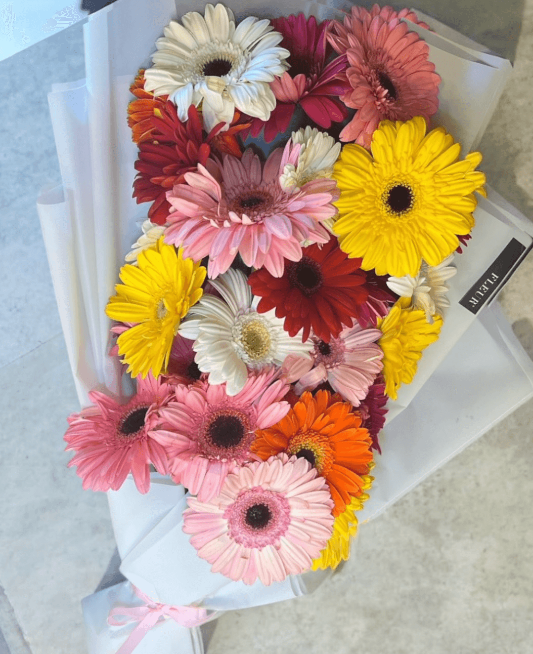 Imagen del producto: Mara II