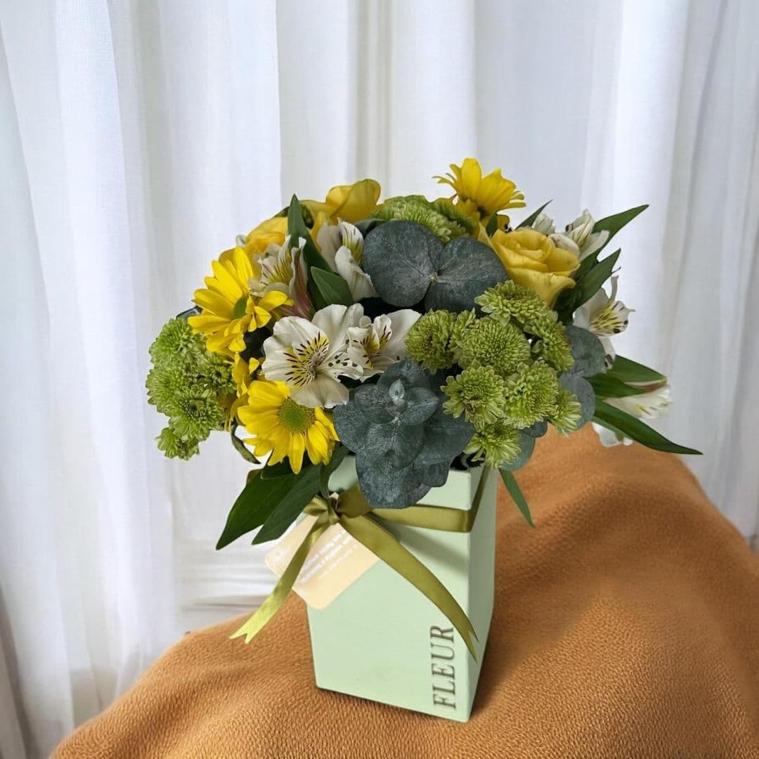 Imagen del producto: Alexandra