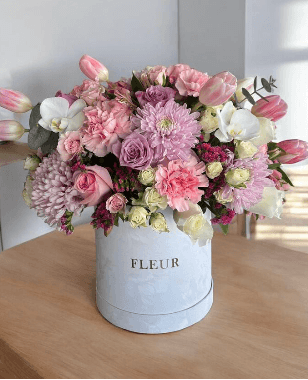 Imagen del producto: Julia VII