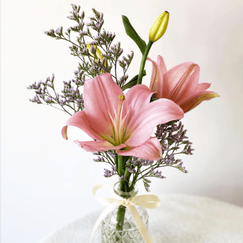 Imagen del producto: Lulú IV