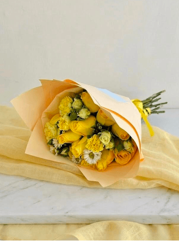 Imagen del producto: Sammy 24