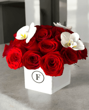 Imagen del producto: Anna III