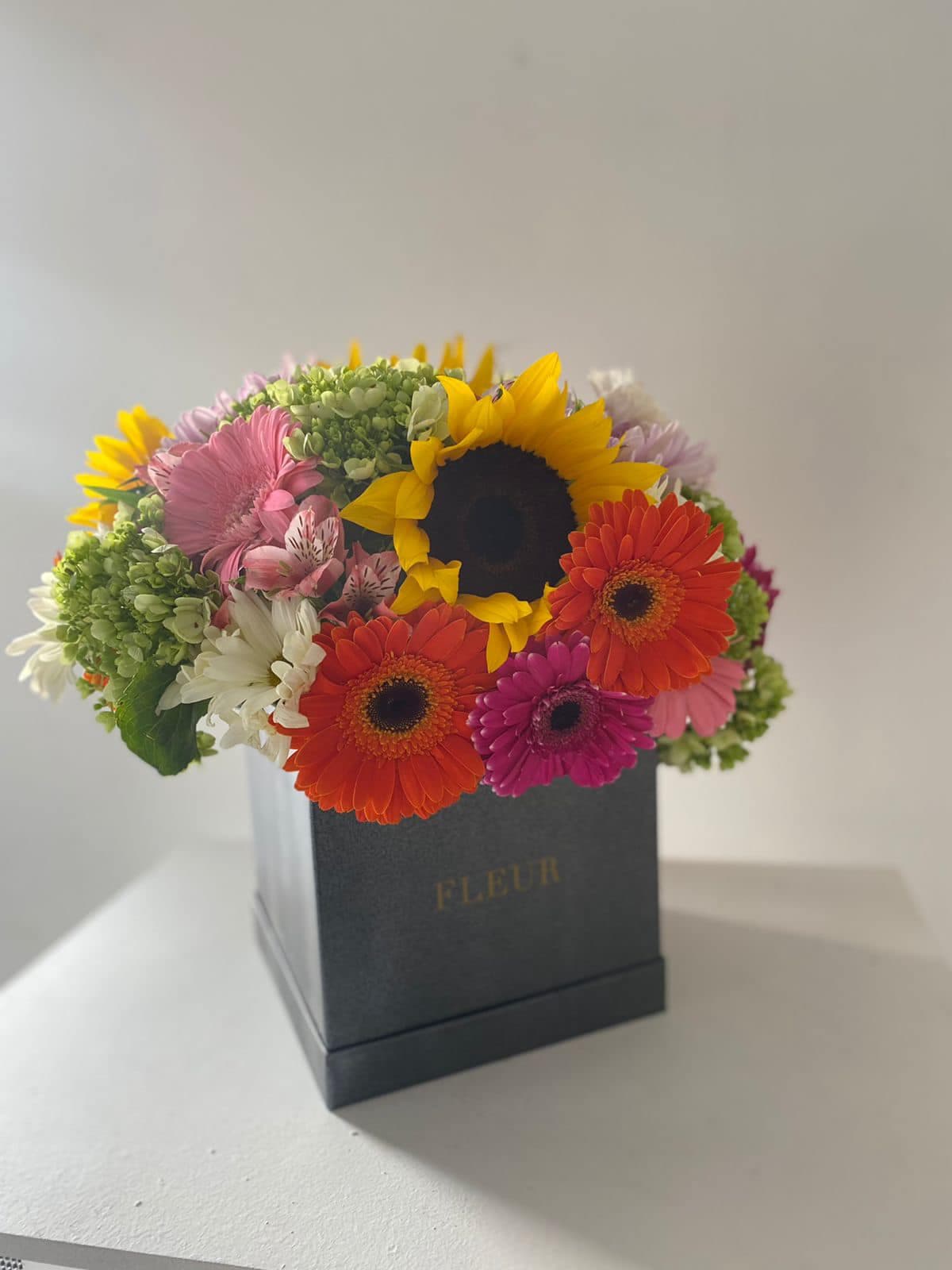 Imagen del producto: Helena VII