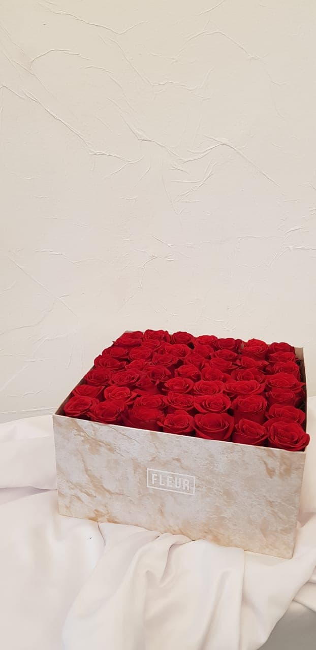 Imagen del producto: Leonor I