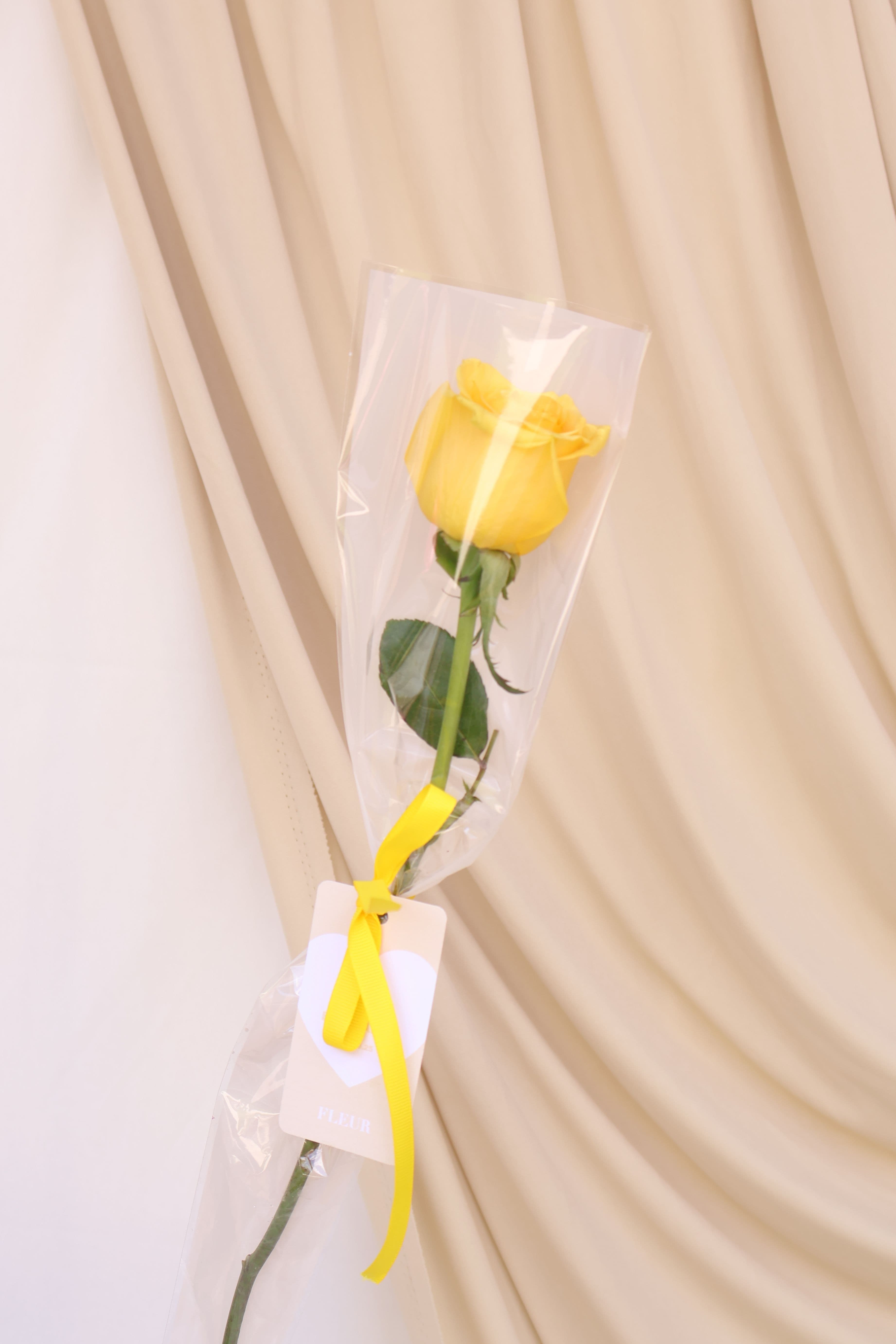 Imagen del producto: Marié