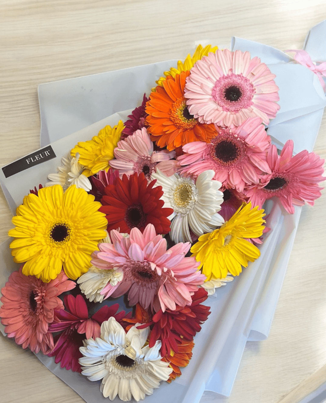 Imagen del producto: Mara III