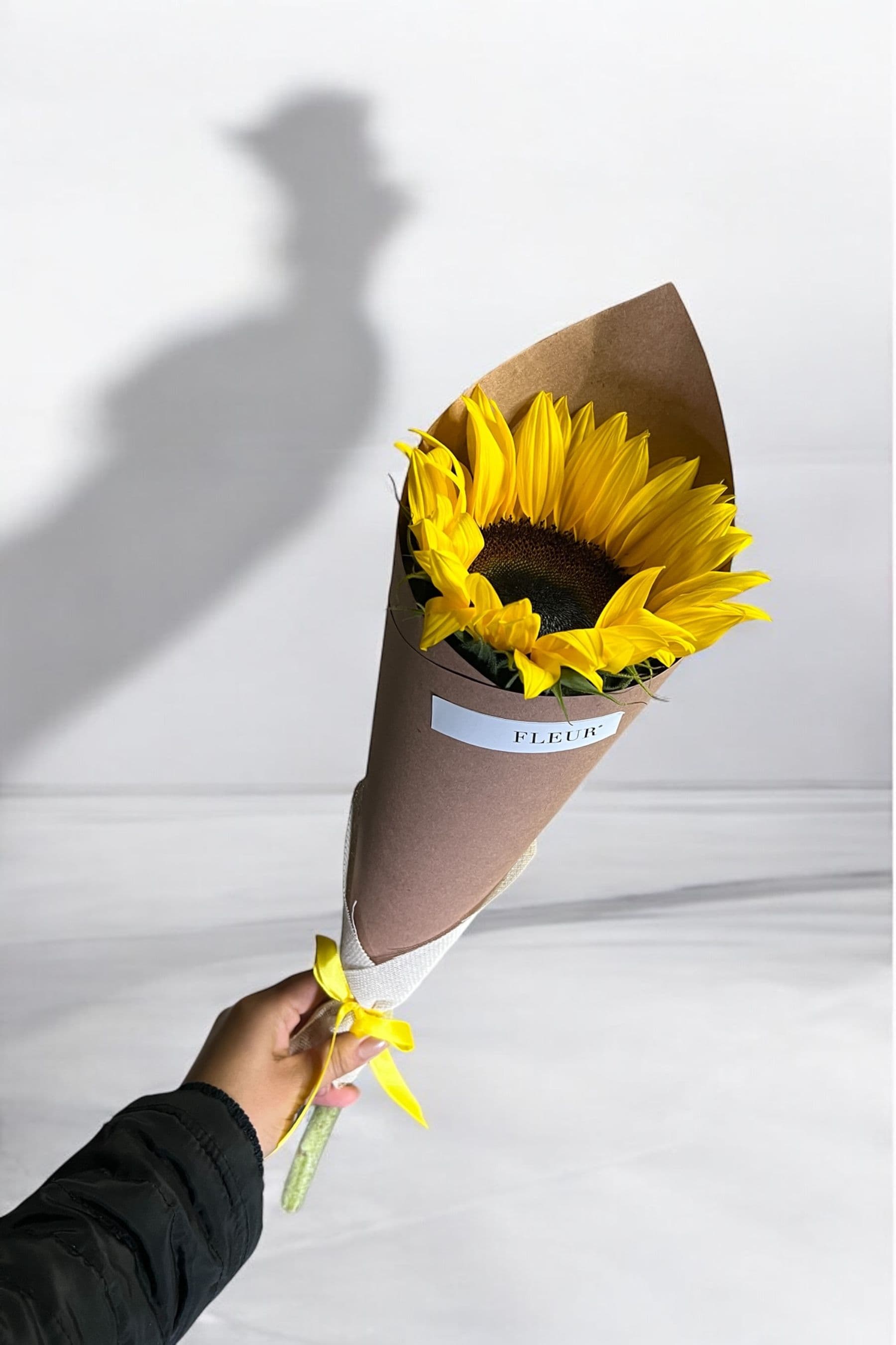 Imagen del producto: Molly II