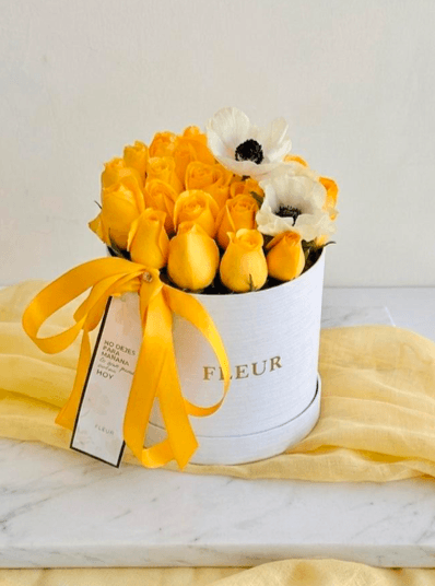 Imagen del producto: Julia