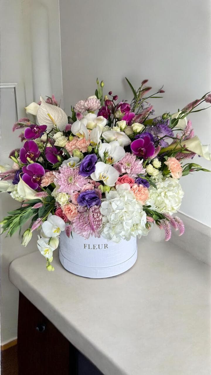 Imagen del producto: Luna IV