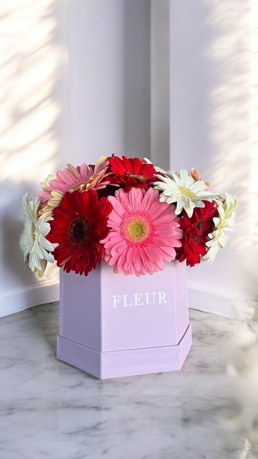 Imagen del producto: Nicole V