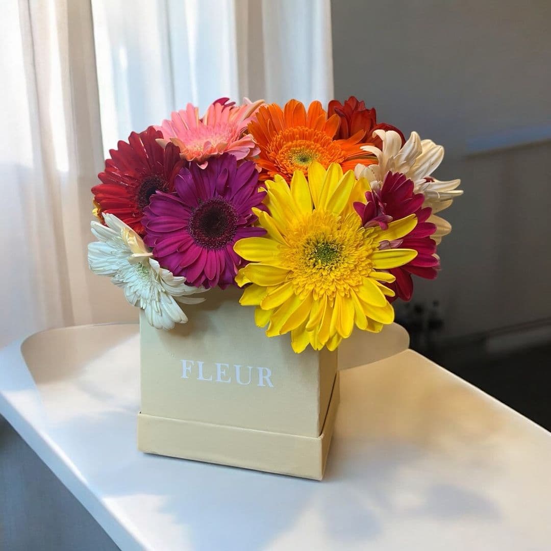 Imagen del producto: Emma IX