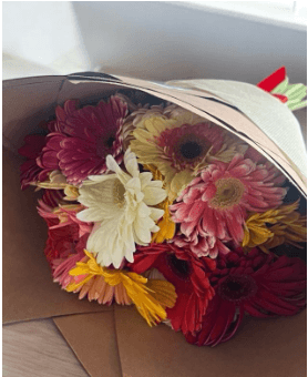 Imagen del producto: Lucy VI