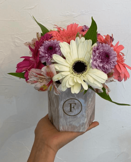 Imagen del producto: Diana II