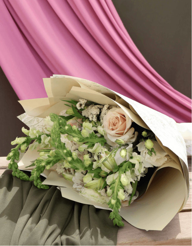 Imagen del producto: Josefina